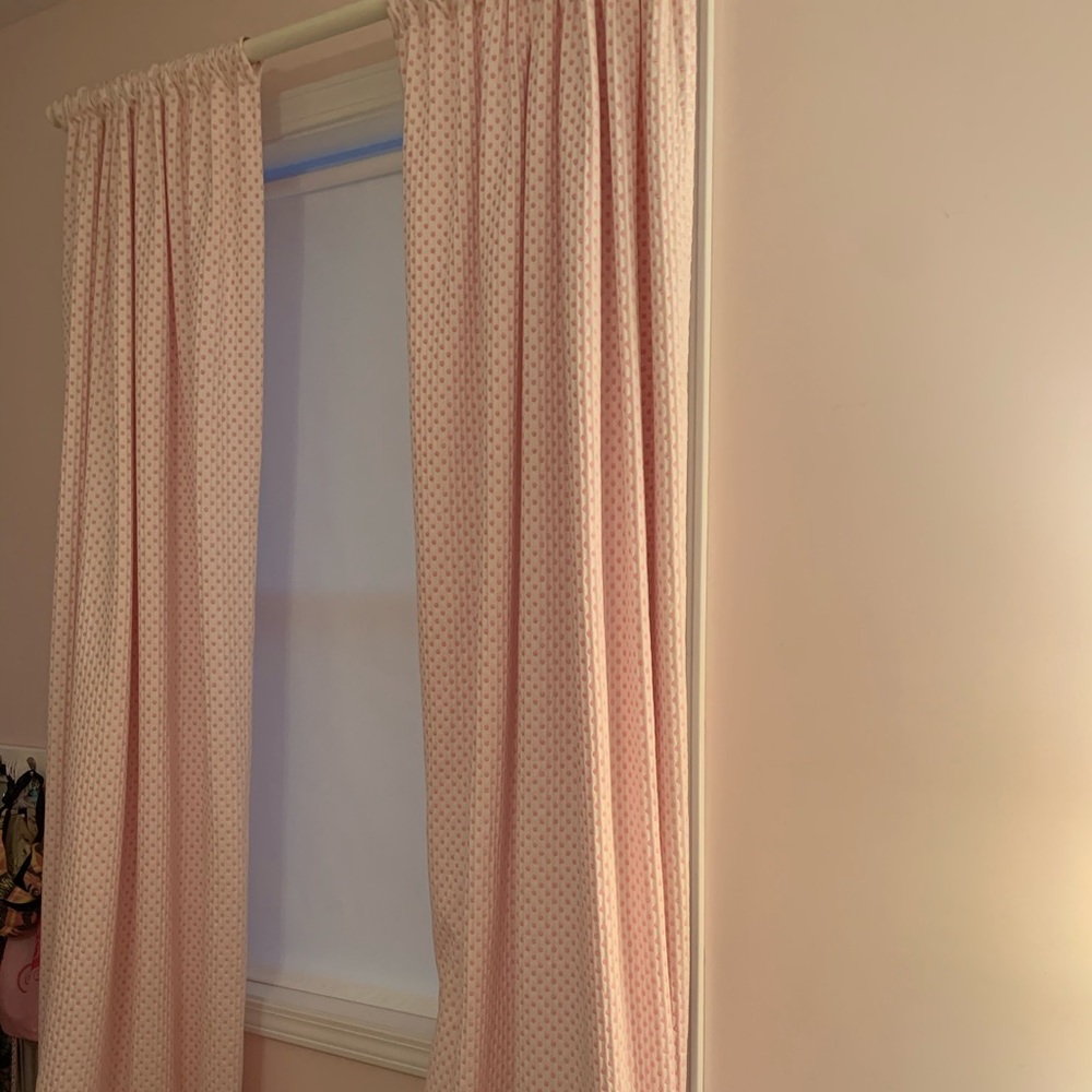 Pottery Barn Kids Curtain Panels